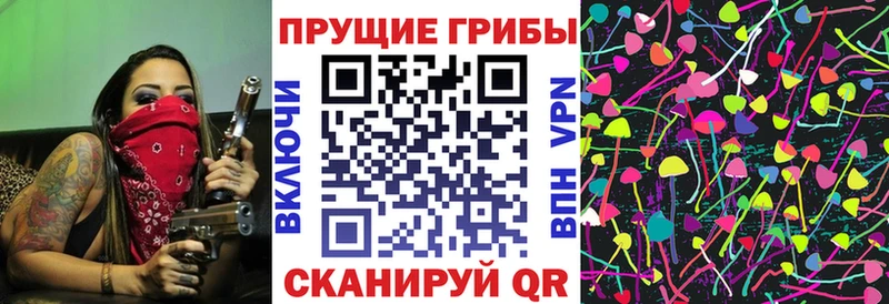 Купить где  Новокузнецк  Псилоцибиновые грибы Magic Shrooms 